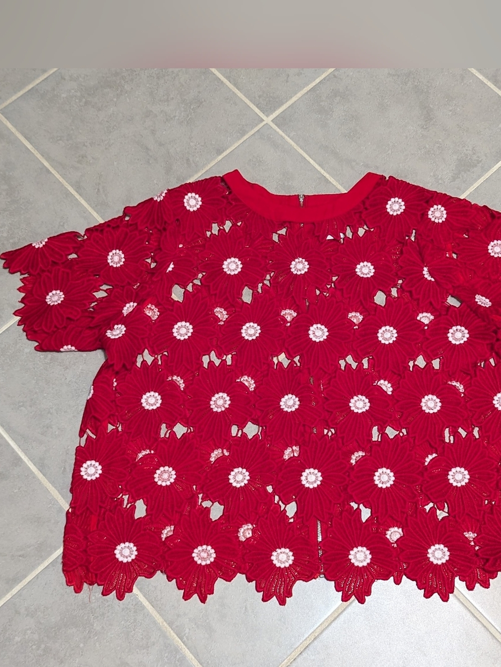 Monroe & Main Red Floral Crochet Lace Short Sleeve Top - Plus Size 1X